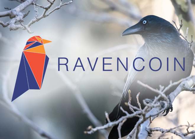 Ravencoin crypto payment solutions-merchant services