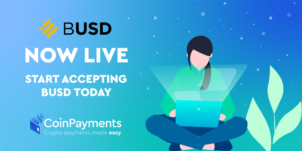 BUSD cryptocurrency - crypto payments