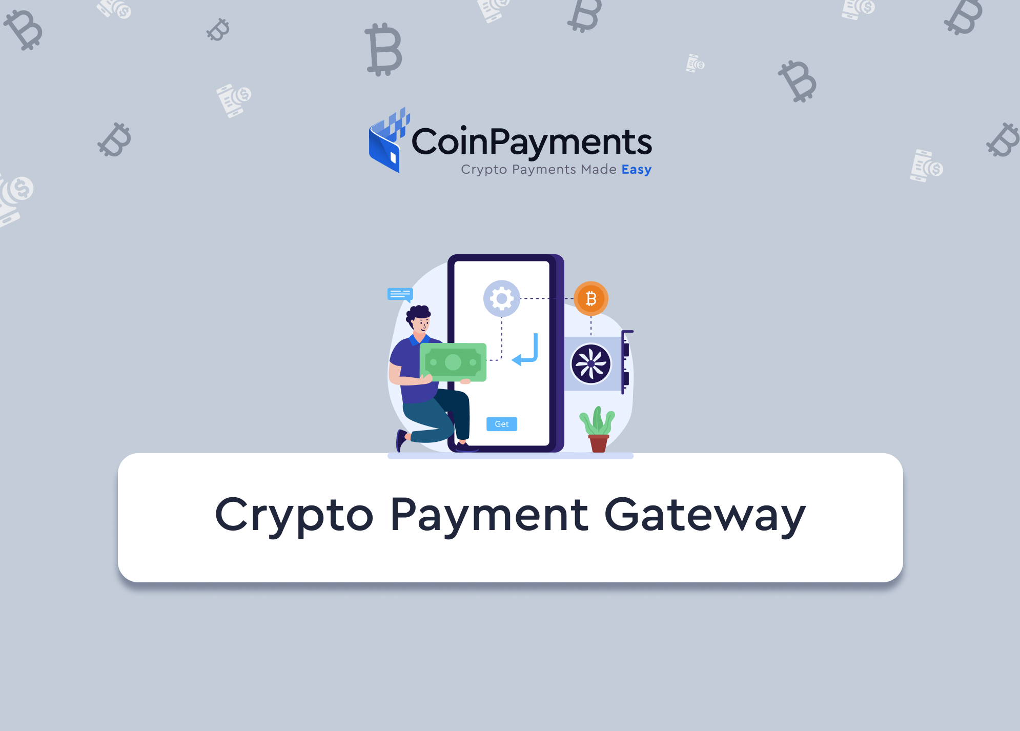 accept crypto payment api