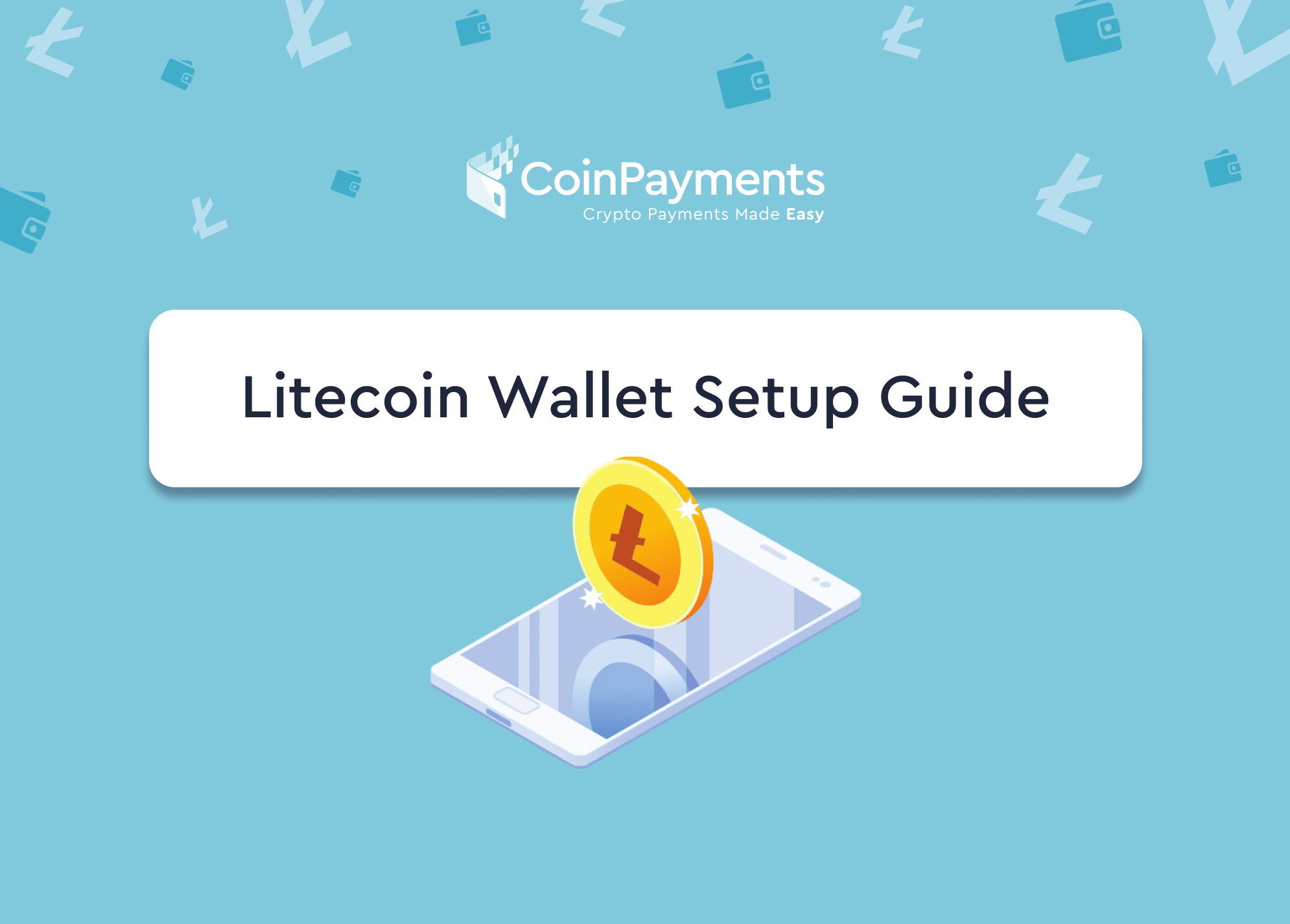 Litecoin Wallet Setup Guide CoinPayments