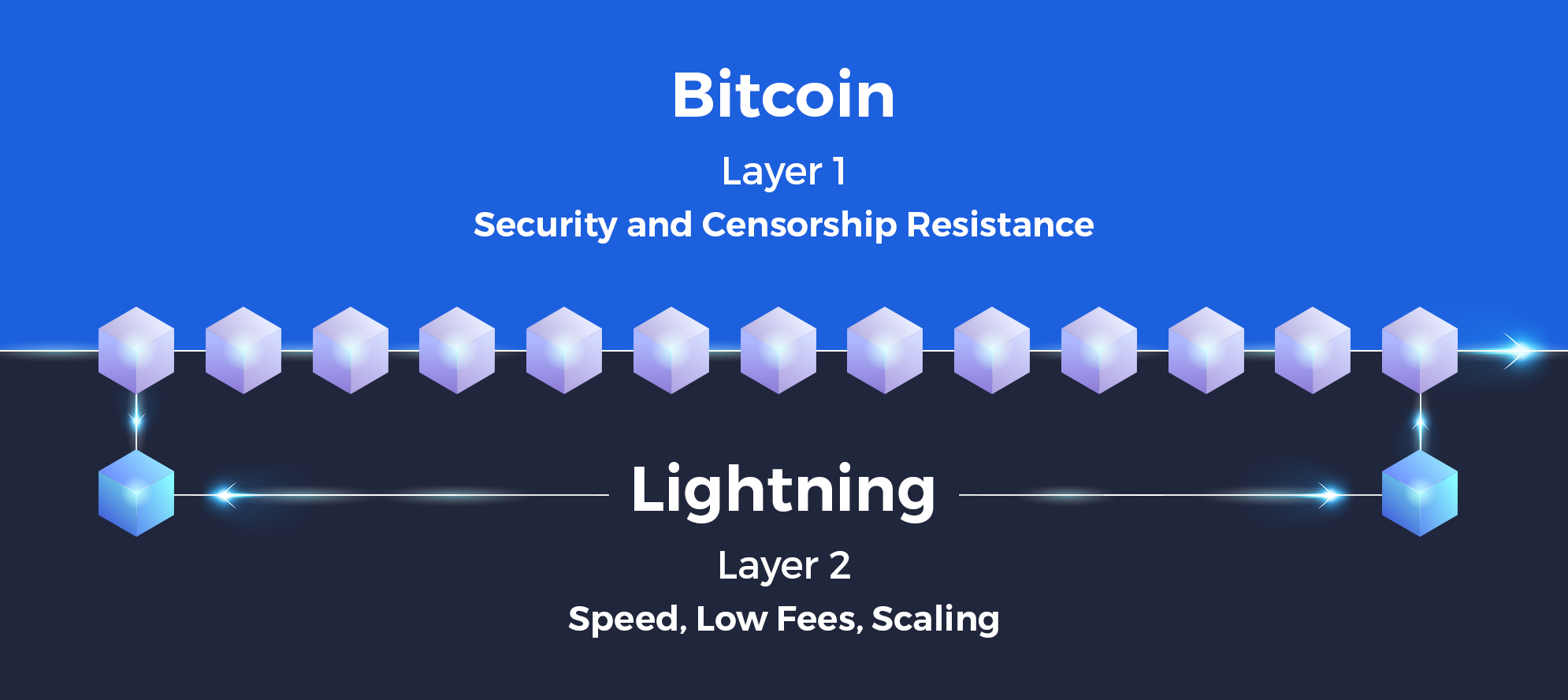 Bitcoin vs. Ethereum: Lightning Network vs. Ethereum 2.0 for Crypto  Payments — Eightify